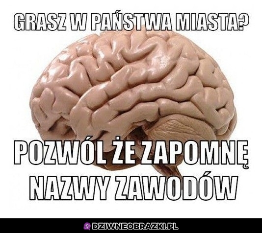 Mózg