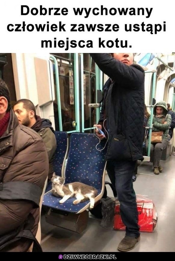 Kultura