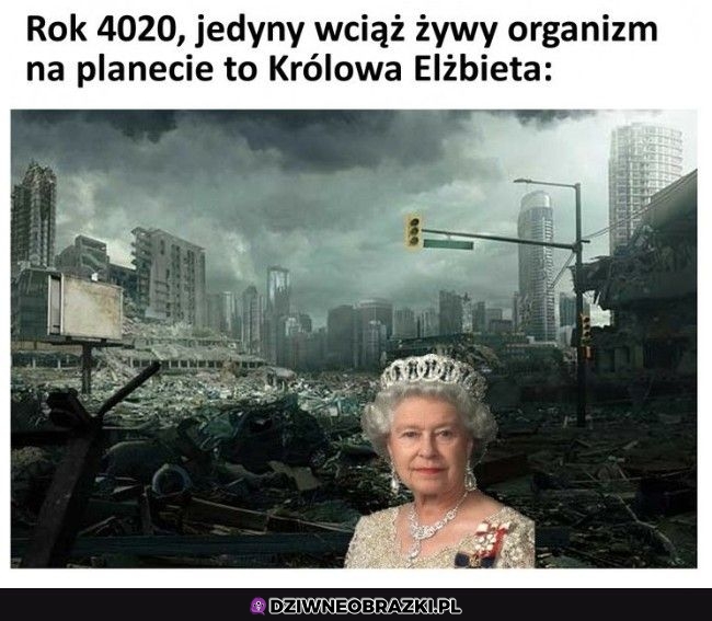 Tak będzie