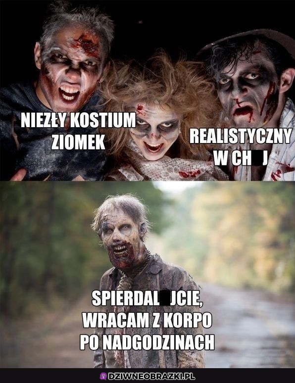 Niezły kostium