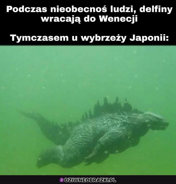 Wielkie powroty