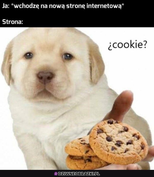 Ciasteczko?