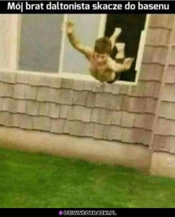 Hops
