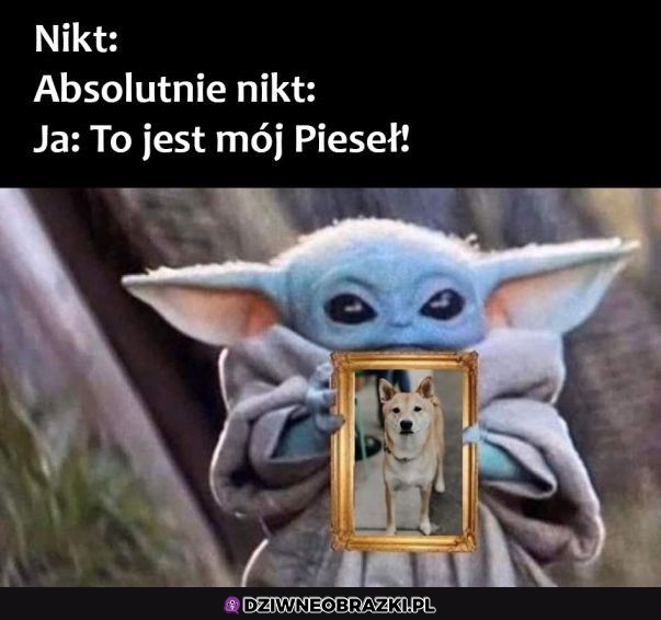 Patrzcie na niego!