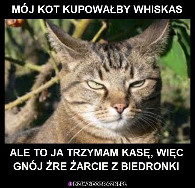 Tak jest