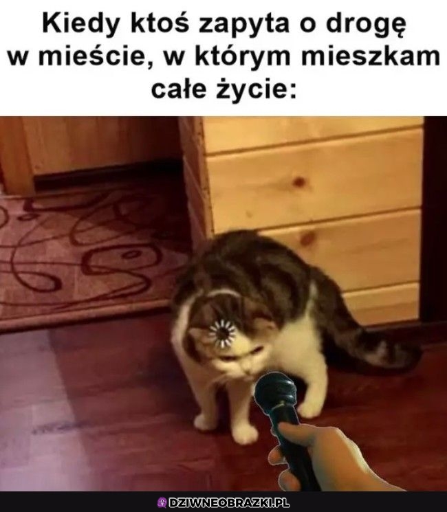 Nie mam pojęcia