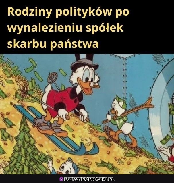 Taki ich wygląd