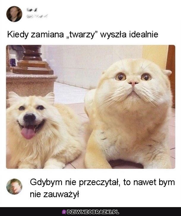 Idealnie