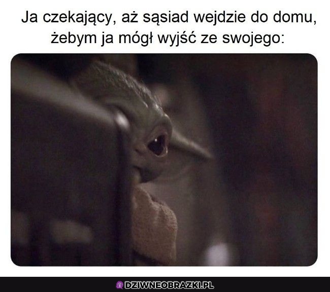 To ja 