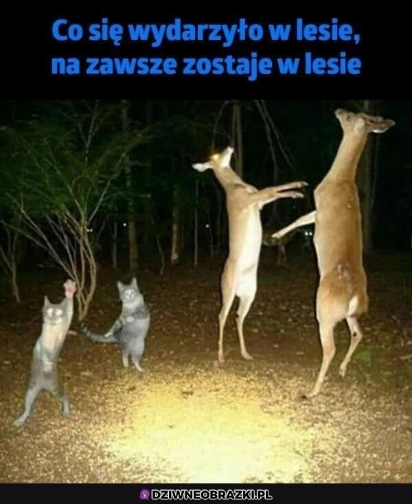 Szalone balety