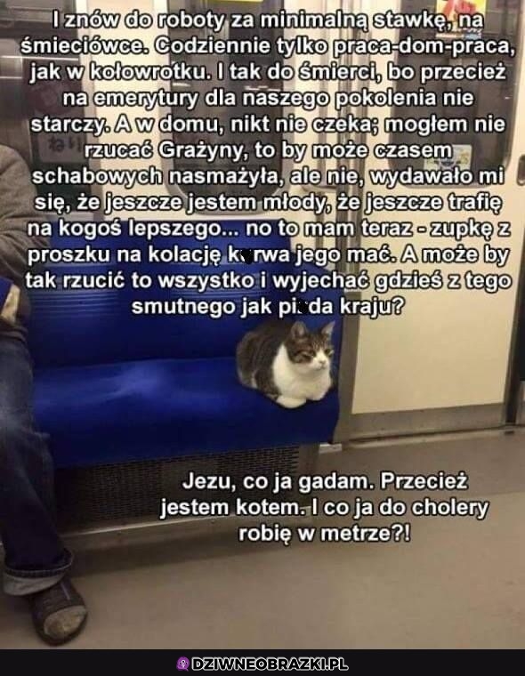 I znowu to samo