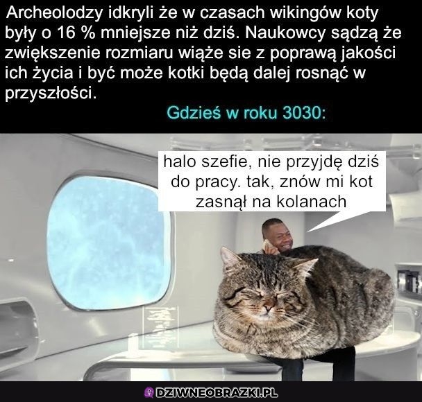 Tak będzie