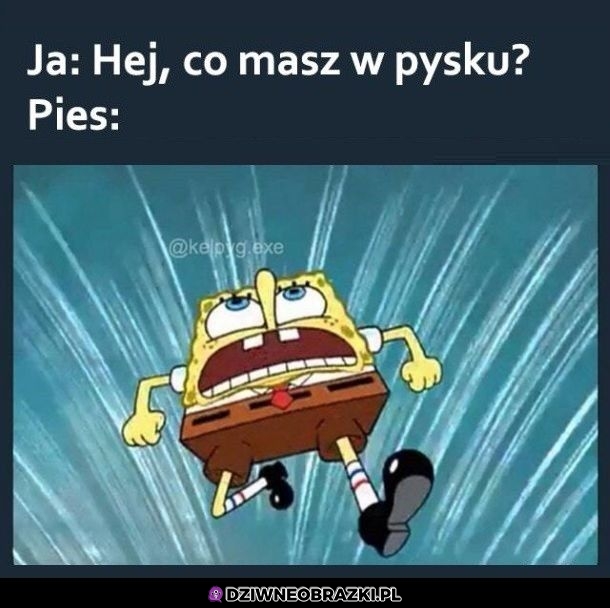 Ten moment Ten moment