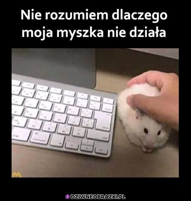 Czemu nie działa?