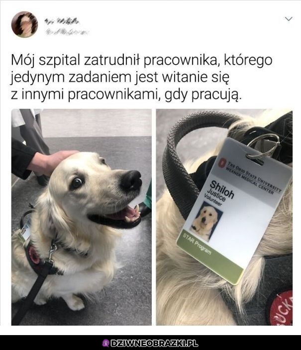 Najlepszy pracownik