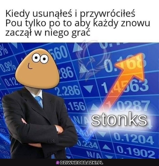 Pou