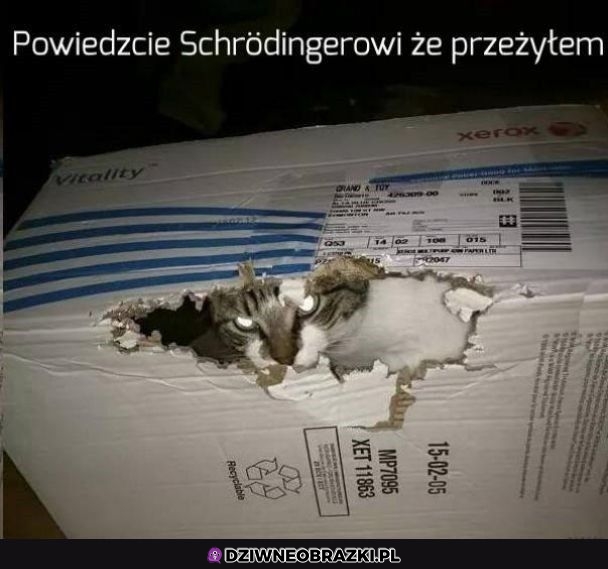 Przekażcie wieści