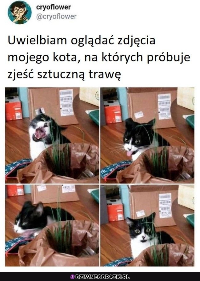 Zaskoczony