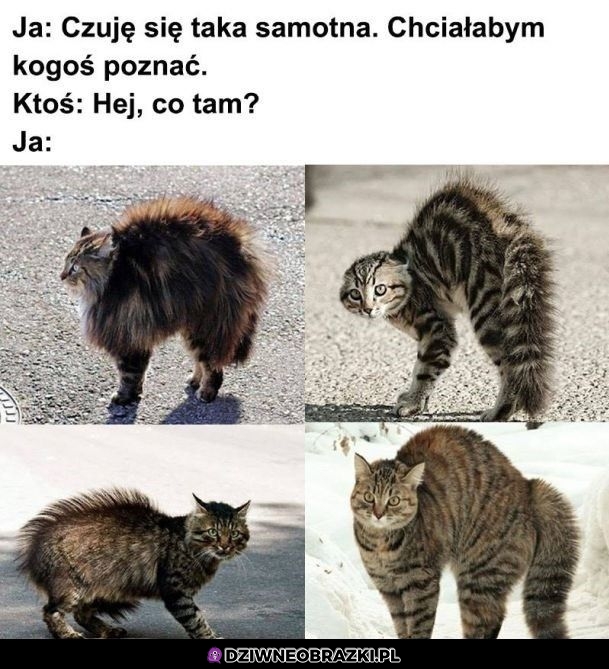 To ja