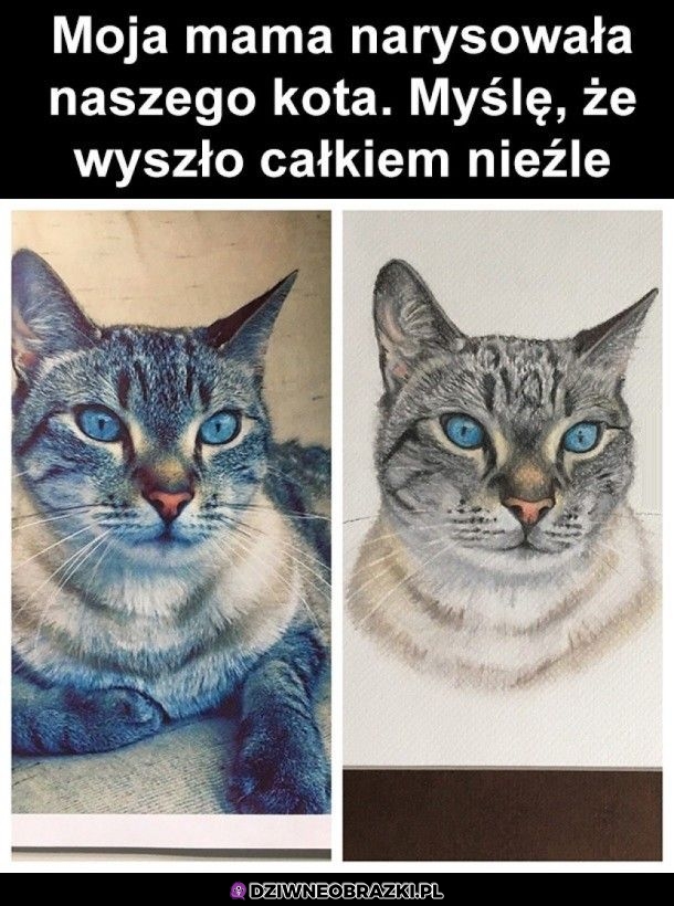 Wow!