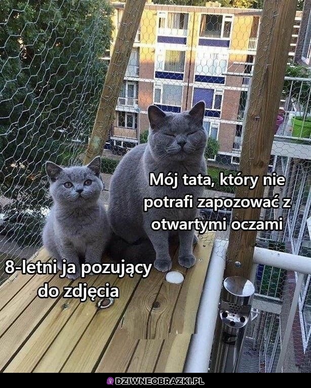 Pozowanie do zdjęcia
