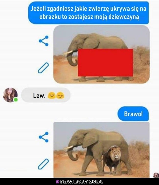 Jak myślicie, zgadła?