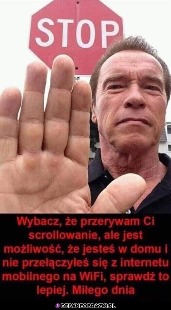 Stop!