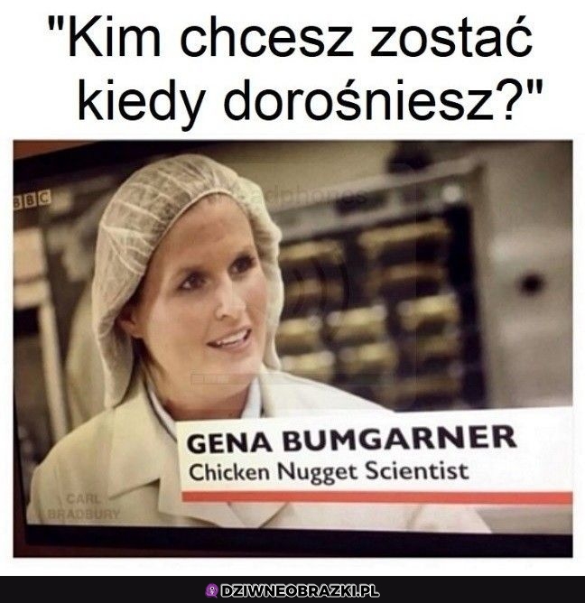 Zawód marzeń