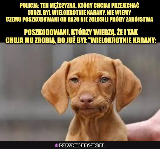 Tak wygląda wielokrotne karanie kierowców...