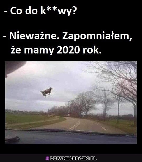 A spoko to normalne