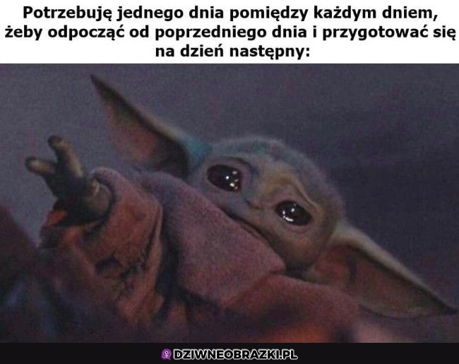 Tego potrzebuję