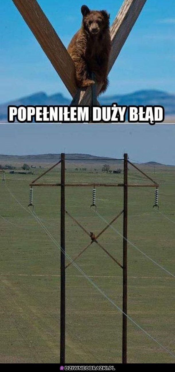 Faktycznie