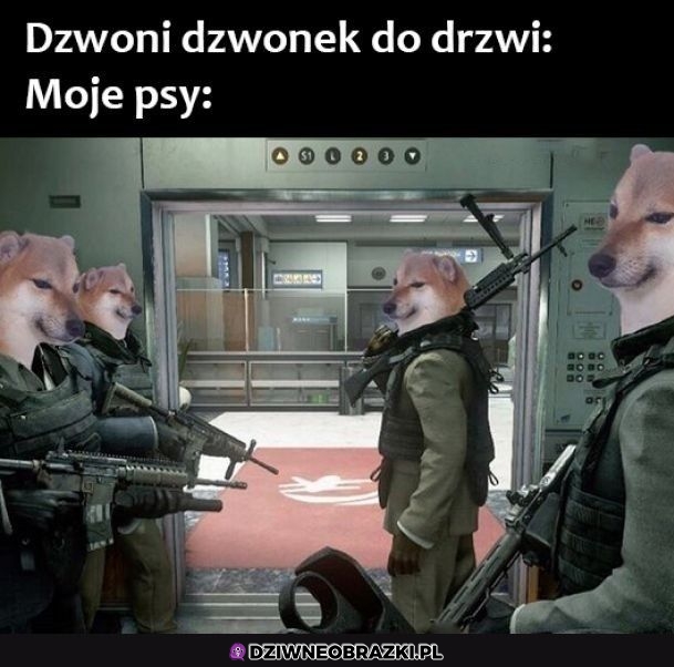 Kiedy ktoś dzwoni