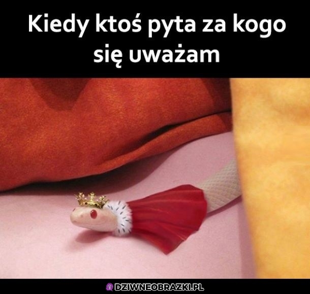 Tak o sobie myślę