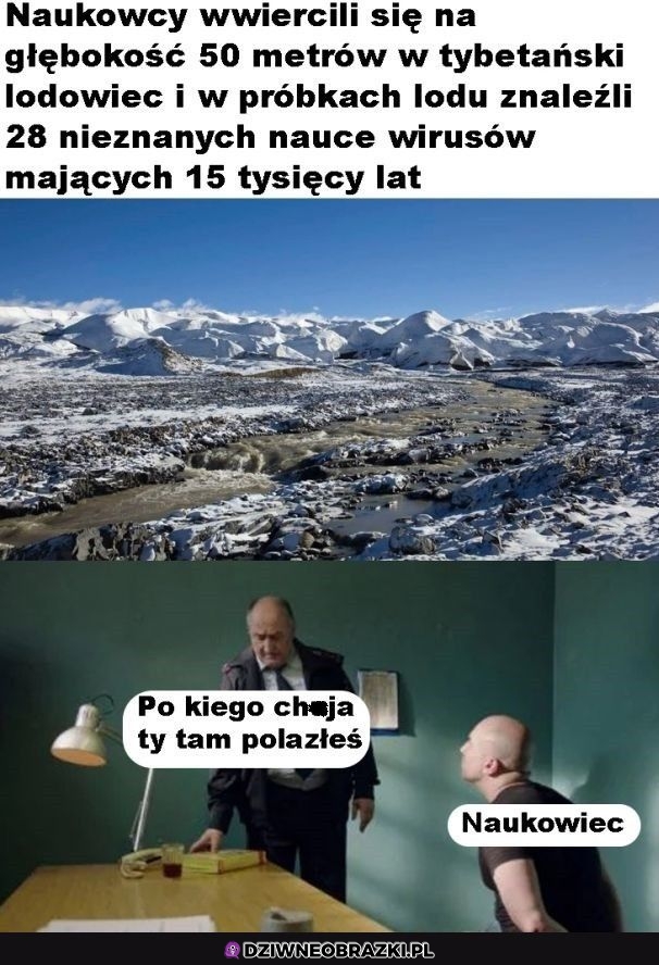 Tylko po co?