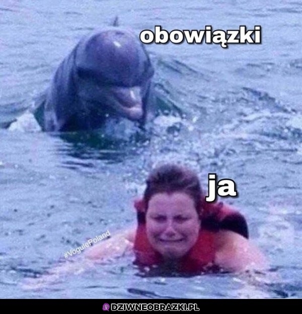 Czają się