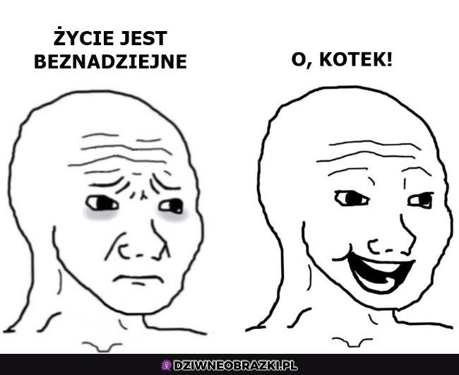 Sens życia