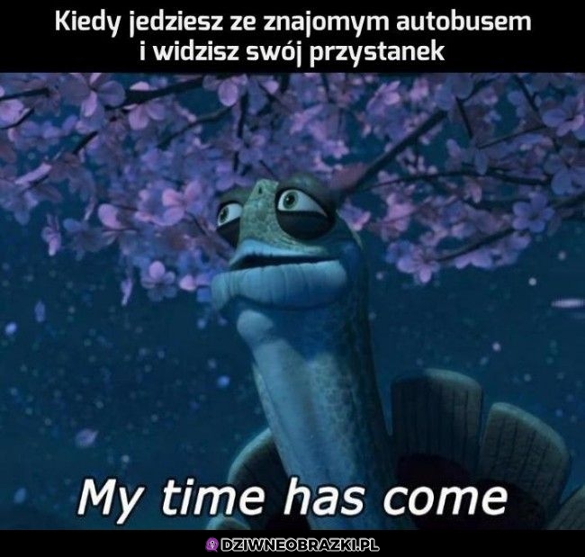 Ten moment