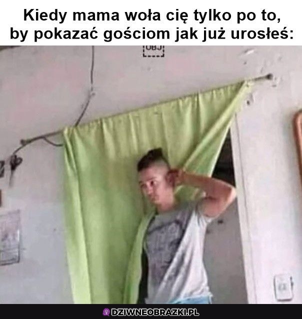 Ten moment