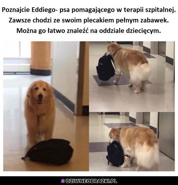 Szanuję