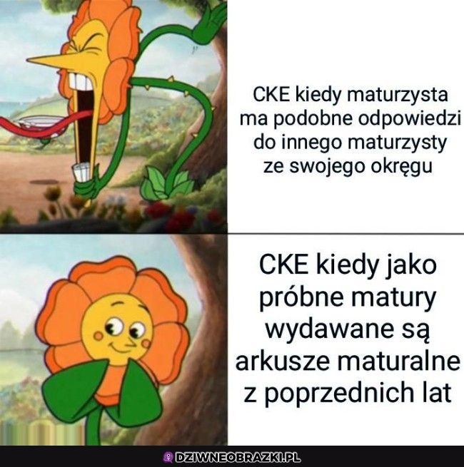 Oj tam oj tam