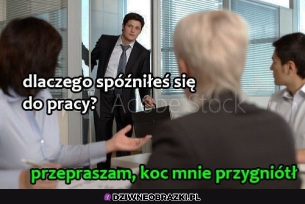 Rozumiem