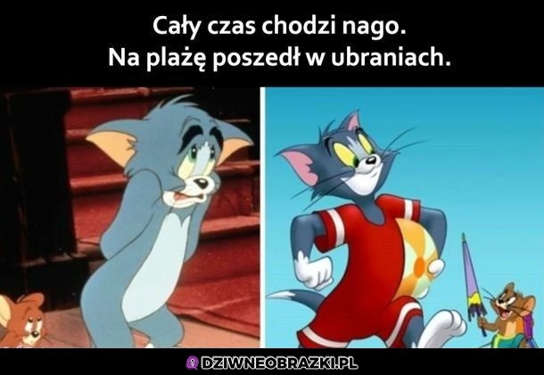 Gdzie tu logika?