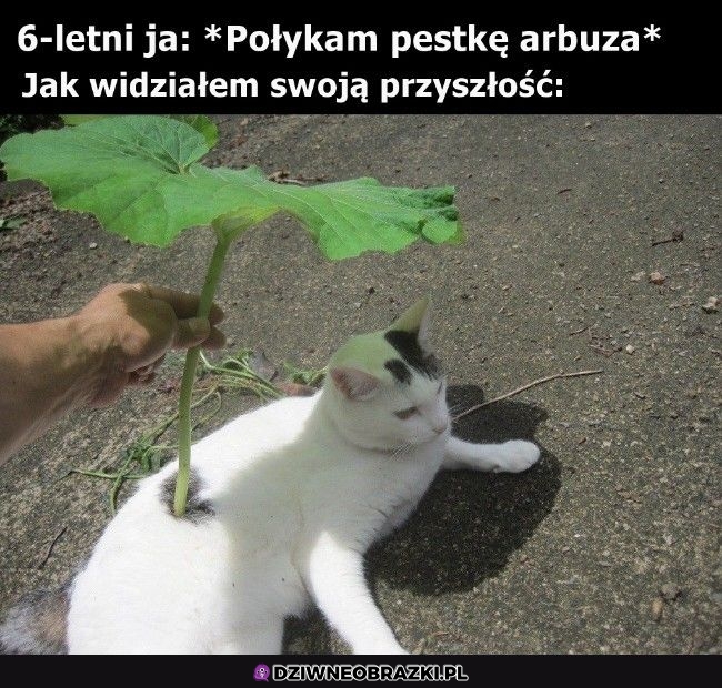 Tak było