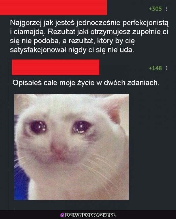 Bez kitu to