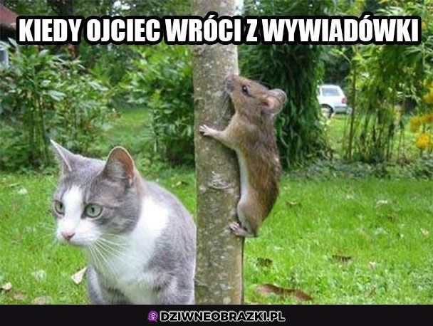 Wtedy trzeba się chować ;P