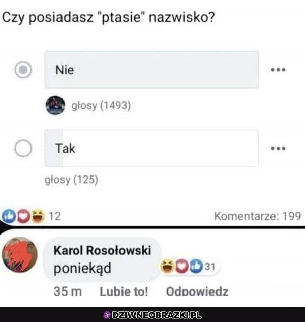 Ptasie nazwisko