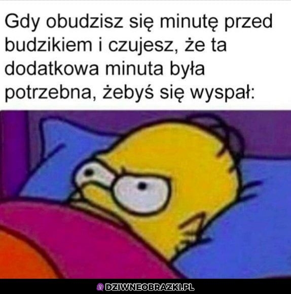 Ten moment
