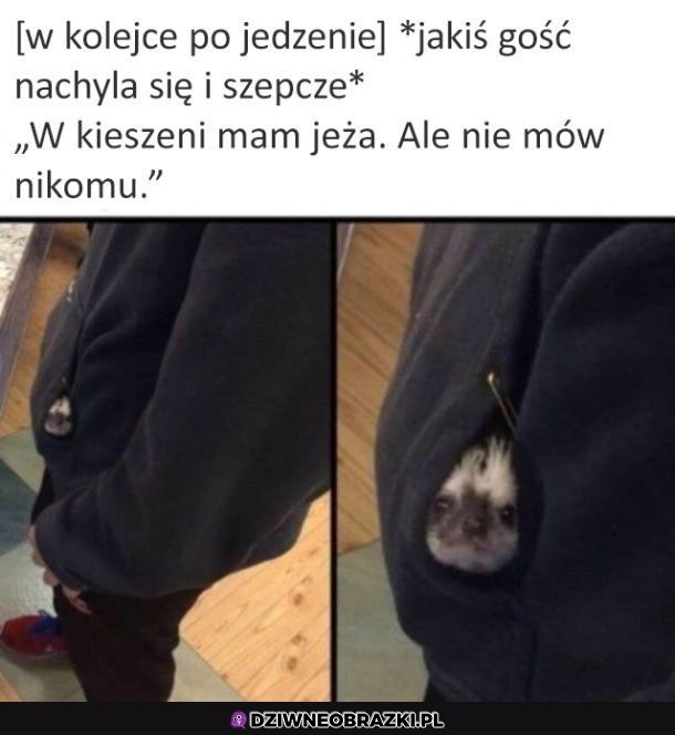 Pst, nie mów nikomu