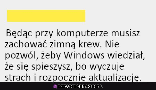 Zimna krew